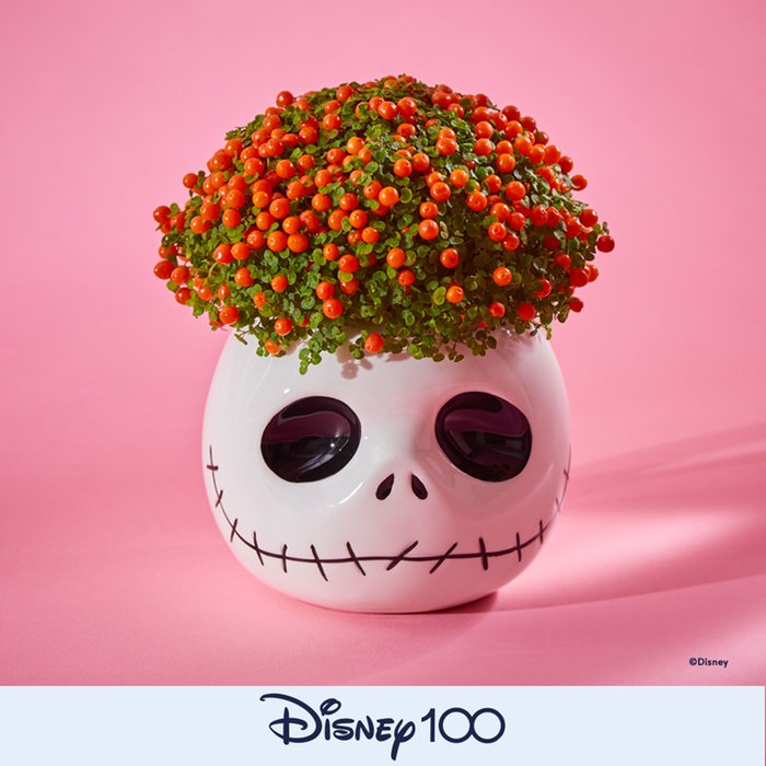 Christmas Pudding Joke Card Moonpig